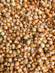 Yellow Onion For Sale In Vegetable Market