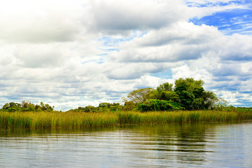 Wetlands in Nature Reserve Esteros del Ibera National Park, Colonia Carlos Pellegrini, Corrientes, Argentina.