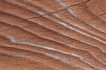 Wood texture