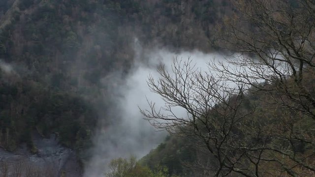 渓谷から発生する川霧