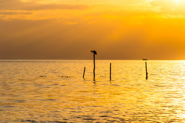 Sonnenstrahlen am morgen am Meer