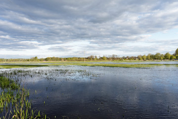 zalana łąka,  © ftomasz