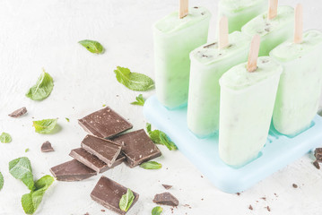 Homemade ice cream. Summer desserts. Refreshing popsicle with mint and chocolate. On a white stone table.