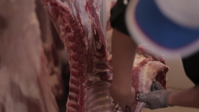 the carcass of a pig hanging in the fridge closeup