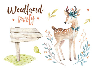 Cute baby deer animal nursery isolated illustration for children. Watercolor boho forest drawing, watercolour, image Perfect for nursery posters