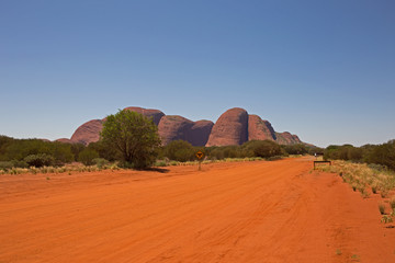 Fototapeta na wymiar Piste im Outback