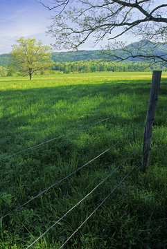 Spring Landscape, Cades Cove, Great Smoky Mountains NP