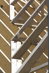 Timber roof support