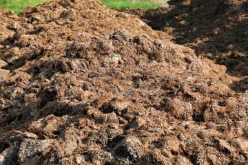 Fertilizer from cow manure and straw. Heap of manure,