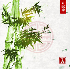 Green bamboo on handmade rice paper background. Traditional oriental ink painting sumi-e, u-sin, go-hua. Contains hieroglyphs - zen, freedom, nature, clarity © elinacious