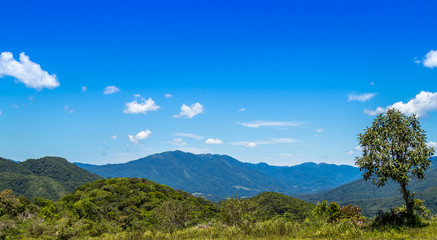 Montanha, floresta e céu azul.