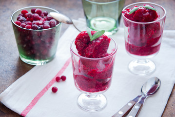 Homemade Berry sorbet