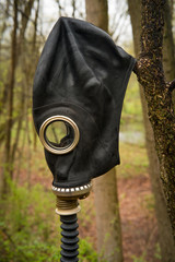 Gas Mask Woods