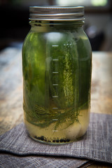 Half Sour Cucumber Pickles