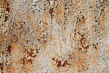 Rusted background