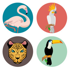 tropical summer animals icon vector illustration design