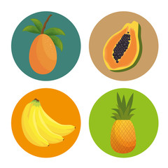 pattern tropical fruits icon vector illustration design