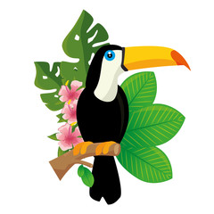 toucan tropical bird icon vector illustration design © Gstudio