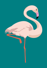 flamingo tropical bird icon vector illustration design