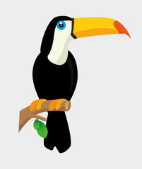 toucan tropical bird icon vector illustration design