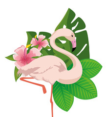 flamingo tropical bird icon vector illustration design