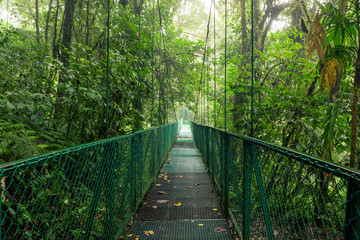 Obraz premium Most wiszący w lesie deszczowym