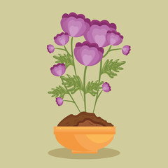 cute flower in pot icon vector illustration design