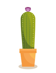 cactus plant botany icon vector illustration design