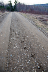 turkey footprints on dirt road