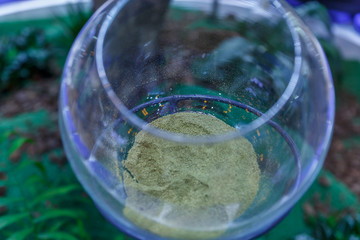 Huge glass with a green powder inside