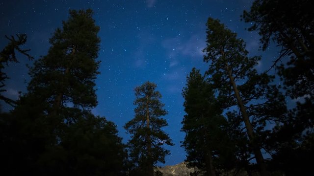 Stars in Alpine Forest 10 Time Lapse Clouds