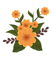 cute flower plant icon vector illustration design