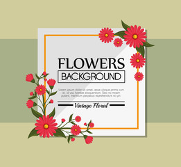 cute flower frame decorative background vector illustration design