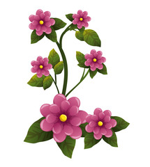 cute flower plant icon vector illustration design