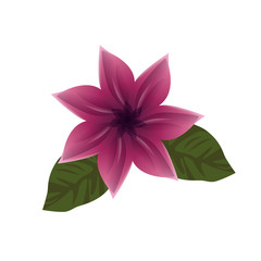 cute flower plant icon vector illustration design