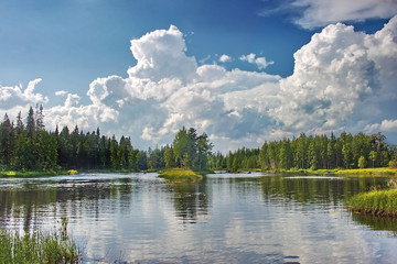 An island on Suna river, Karelia, Russia - obrazy, fototapety, plakaty