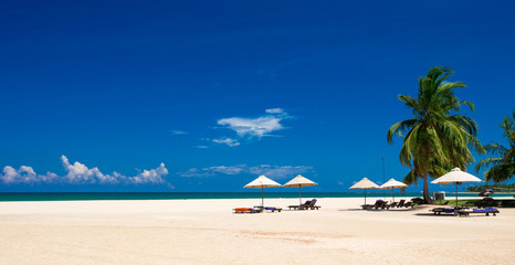  beach and tropical sea