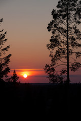 Sun setting over forest