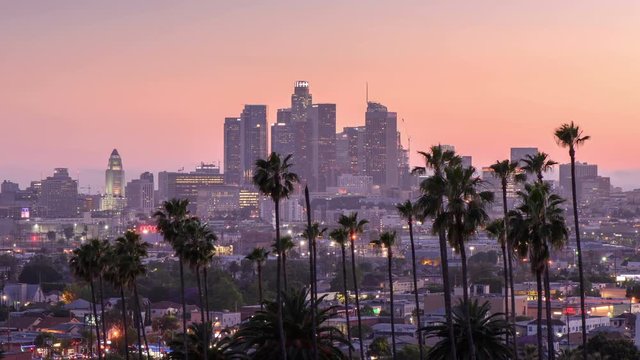 Day to night transaction time lapse Los Angeles downtown and palm trees in foreground