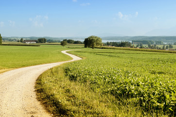 Weg zum Waginger See