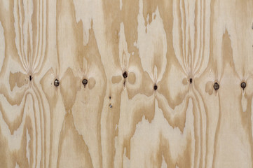Wood texture