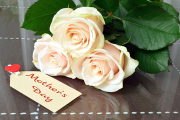 Bouquet of roses for mom. Mother's Day. © shake_pl