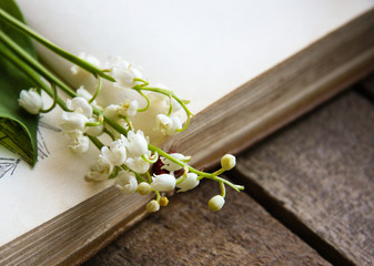 Lily-of-the-valley still life