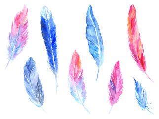 Watercolor colorful bird feather rustic isolated set