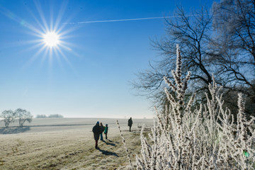 Winter im Westerwald