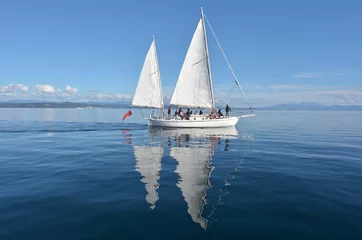 Tuinposter Sail boat sailing over Lake Taupo New Zealand © Rafael Ben-Ari