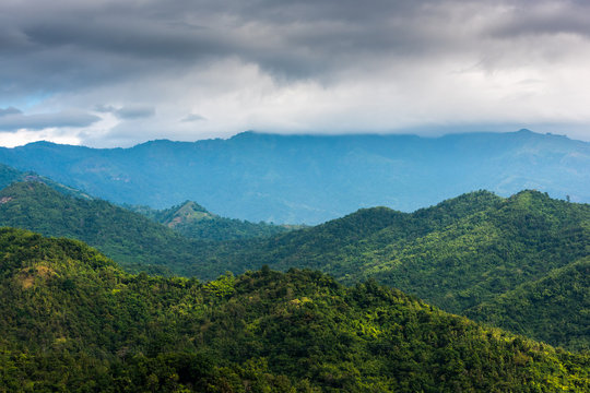 Mountain Slopes Turn Green in Spring in the Smokies