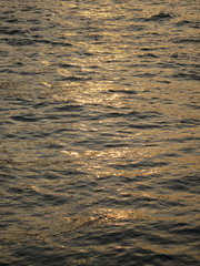 Sun shimmering on golden waves