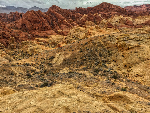 Under the grey sky, Valley of Fire
