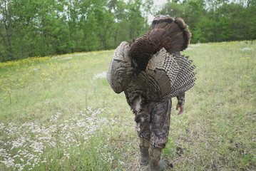 Turkey Walk